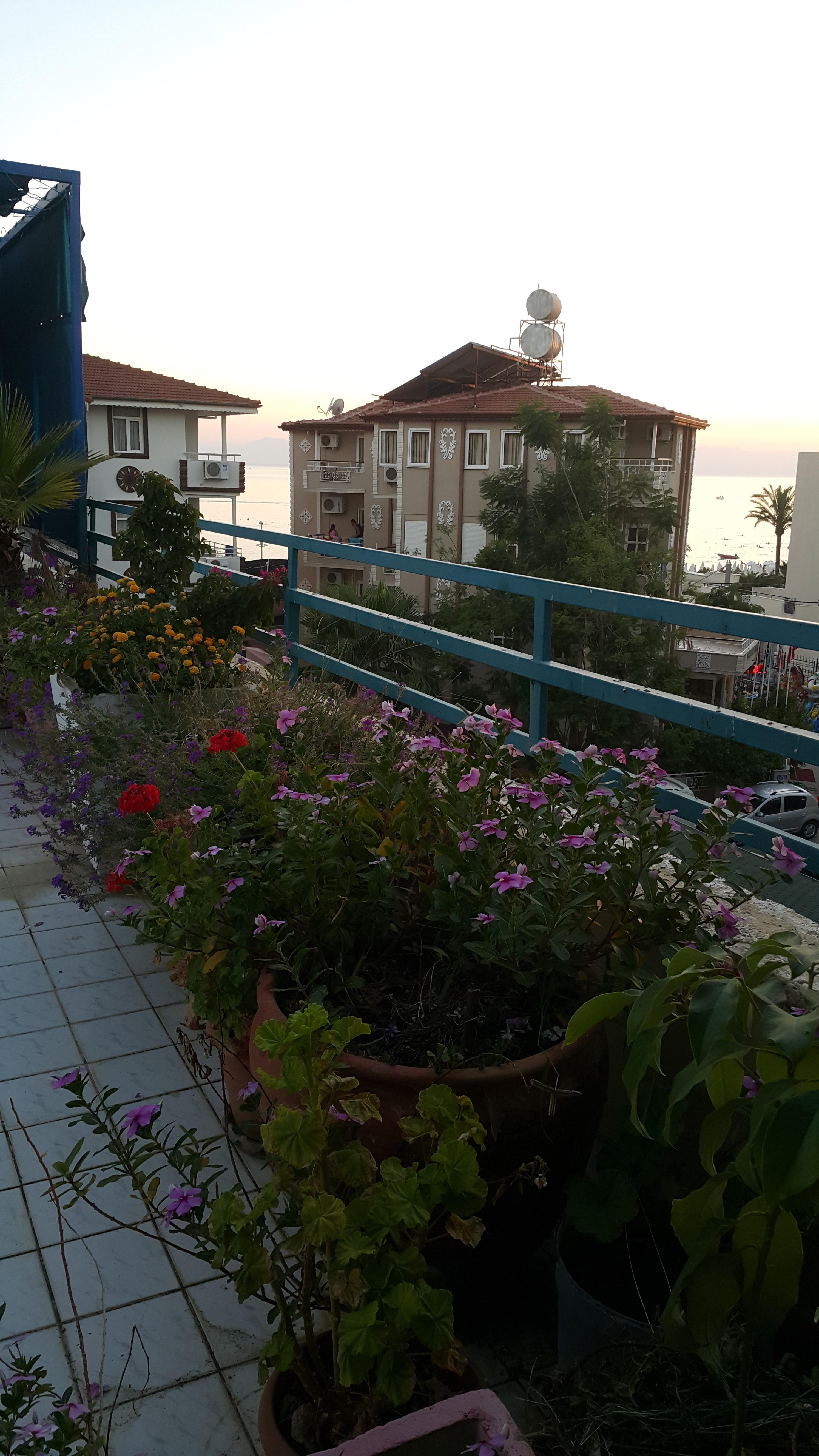 Delphin Apart Hotel Side Exterior foto